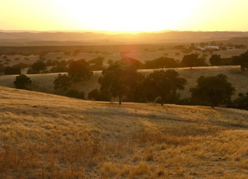 Paisaje de La Dehesa