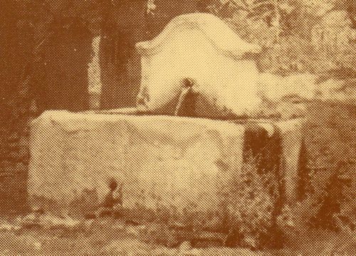 Fuente San Juan de La Cruz