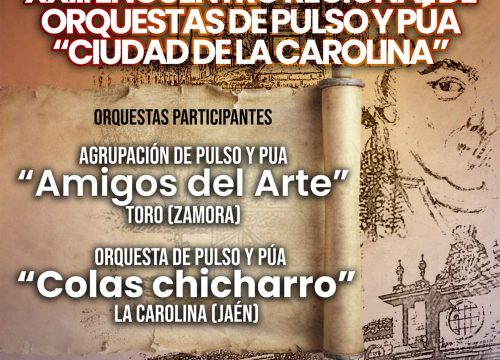 Encuentro regional de Orquestas de Pulso y Púa