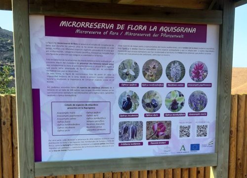 Micro-Reserva de Orquídeas Aquisgrana