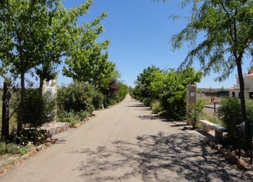 Paseo del Vía Crucis