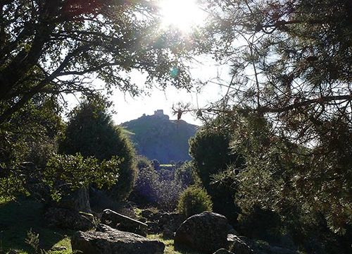 La naturaleza que rodea a La Carolina: un paisaje entre historia, dehesas y Sierra Morena