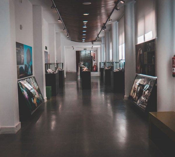 museoCarolina_17